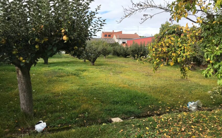 Casa para reformar en Mansilla de las Mulas