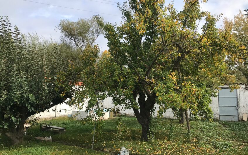 Casa para reformar en Mansilla de las Mulas