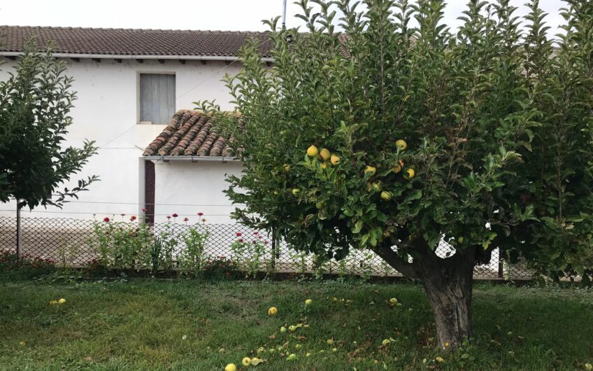 Casa para reformar en Mansilla de las Mulas