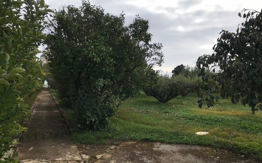 Casa para reformar en Mansilla de las Mulas