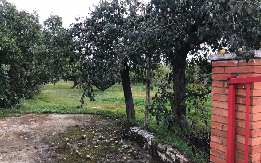 Casa para reformar en Mansilla de las Mulas