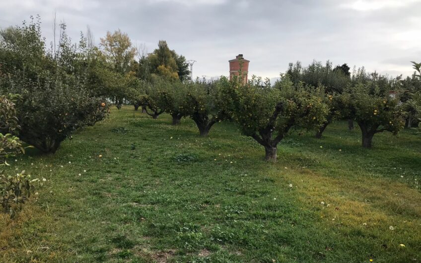 Casa para reformar en Mansilla de las Mulas